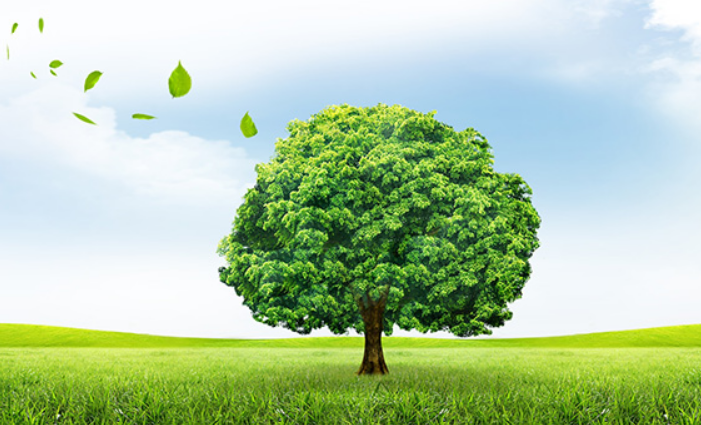 綠色環(huán)保：室內(nèi)裝修污染問(wèn)題與對(duì)策