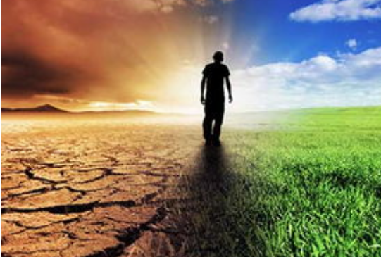 image.png 互聯(lián)網(wǎng)公裝崛起的主要因素