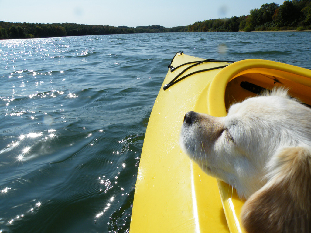 微信移動(dòng)辦公：不當(dāng)傳話筒，當(dāng)解決問題小能手